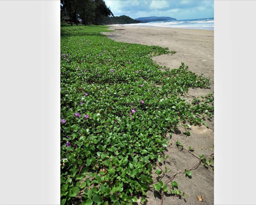 Cockerel Homestay - Traditional Beach Village - Goa Canacona Esterno foto