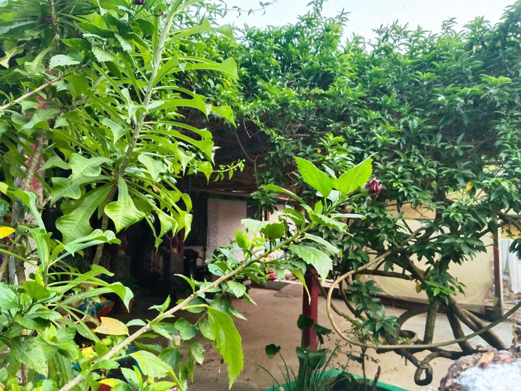 Cockerel Homestay - Traditional Beach Village - Goa Canacona Esterno foto